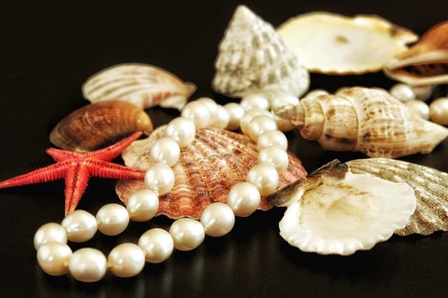 Guía de Compra de Accesorios Decorativos para el Hogar
